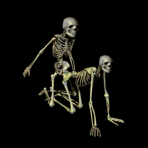 les deux tutes